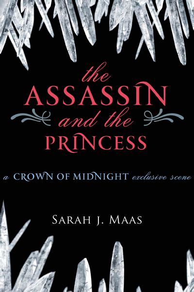 sarah j maas the assassin and the princess
